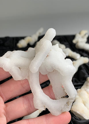 New ! White Coral Chalcedony Stalactite Lot - 12 pieces !