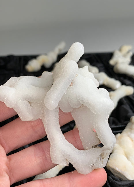 New ! White Coral Chalcedony Stalactite Lot - 12 pieces !