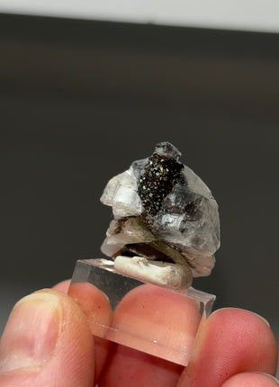 Black Knight Calcite