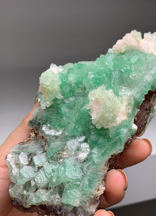 Green Apophyllite with Scolecite - Collection # 189