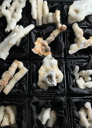 New ! White Coral Chalcedony Stalactite Lot - 23 pieces !