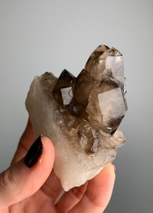 Elestial Smoky Quartz on White Quartz - From Namibia