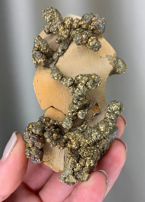 Wild ! Pyrite on Rock Matrix Specimen