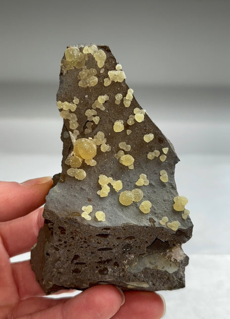 Botryoidal Calcite from Montalto di Castro, Italy