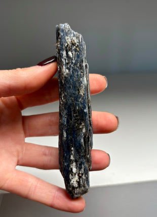 XL Size Blue Kyanite with Mica - From Zambia - 6 Pieces