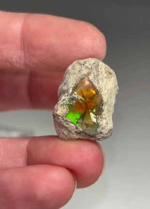 9 pieces !  High Grade We’lo Opal Lot  - From Ethiopia