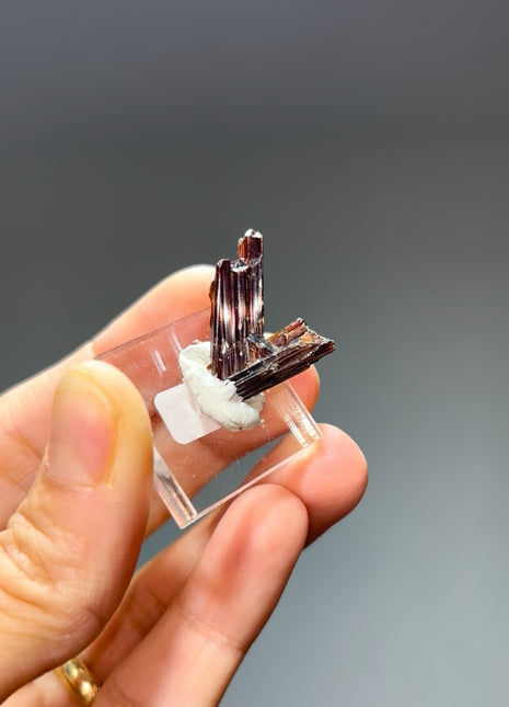 Red Rutile from Diamantina mine, 1990s find
