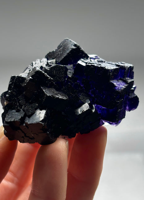 Extra Dark Purple Fluorite from Muzquiz, Mexico