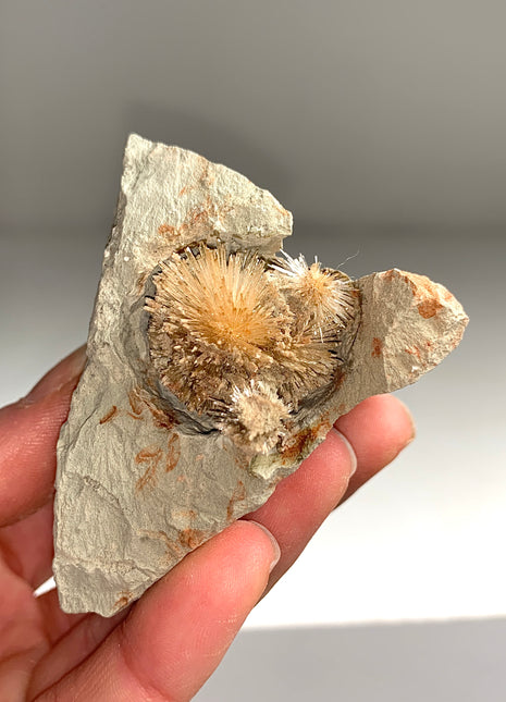 Bursting Sun Aragonite Ball in Cluster - From Pantoja, Spain