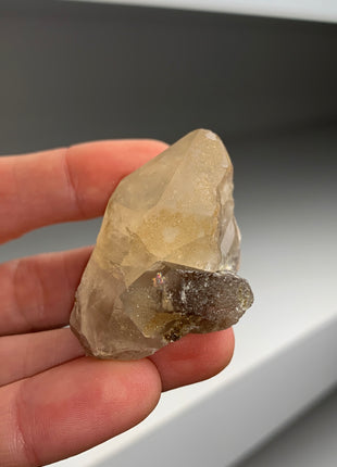 Smoky Scepter Quartz Lot - Hallelujah Junction, Nevada - 6 Pieces !