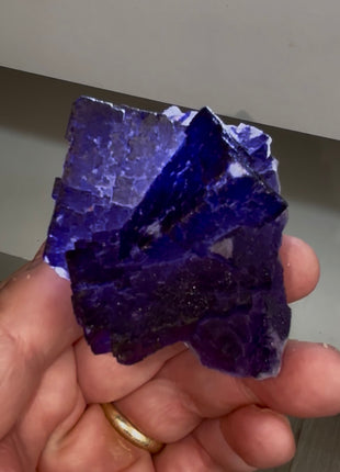 Blurple Fluorite from Muzquiz, Mexico