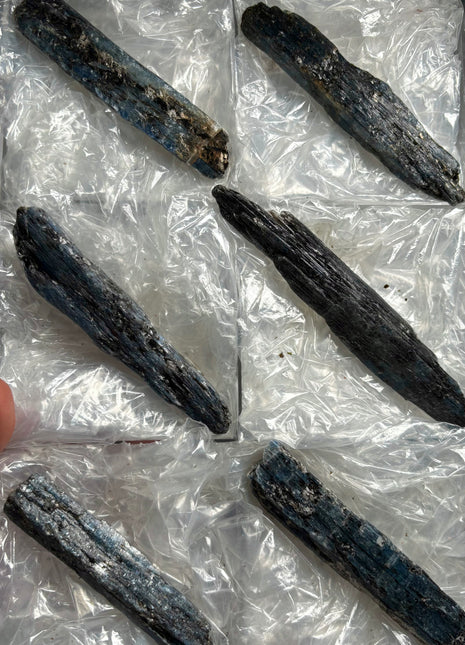 XL Size Blue Kyanite with Mica - From Zambia - 6 Pieces