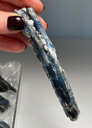 XL Size Blue Kyanite with Mica - From Zambia - 12 Pieces