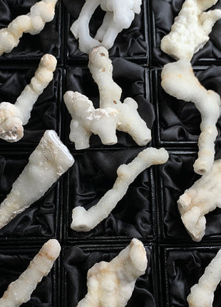New ! White Coral Chalcedony Stalactite Lot - 12 pieces !