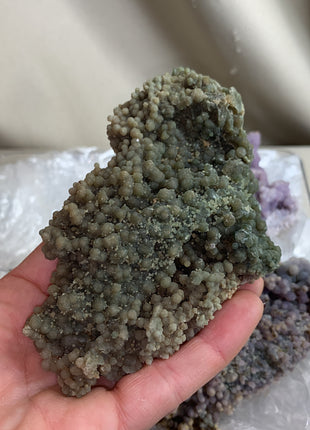 Grape Agate Lot - From Sulawesi, Indonesia - 6 Pieces !