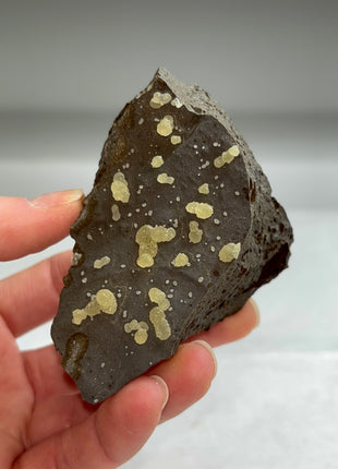 Botryoidal Calcite from Montalto di Castro, Italy