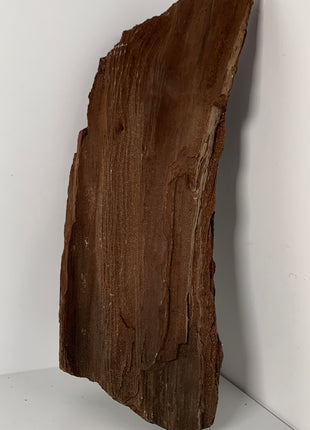 Our Finest ! Permineralized Fossil Wood with Quartz From Germany - 8+ kgs ! *