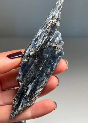 XL Size Blue Kyanite with Mica - From Zambia - 12 Pieces