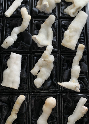 New ! White Coral Chalcedony Stalactite Lot - 12 pieces !