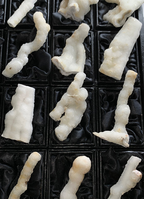 New ! White Coral Chalcedony Stalactite Lot - 12 pieces !