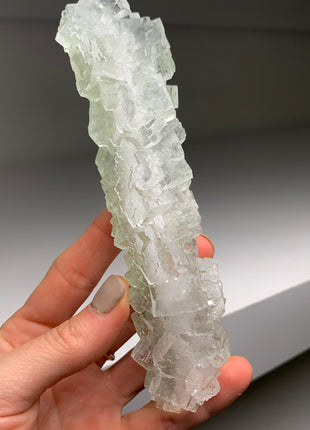 Stunning Green Halite Stalactite
 - From Lubin mine, Poland