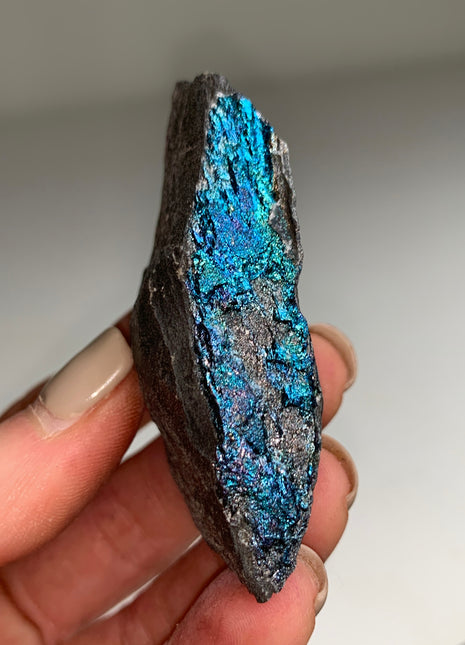 Colorful Bornite Specimen π - From Lubin mine, Poland