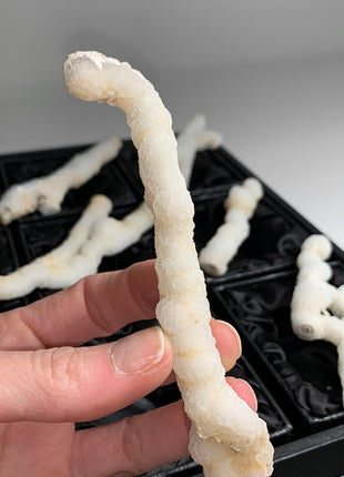 New ! White Coral Chalcedony Stalactite Lot - 6 pieces !