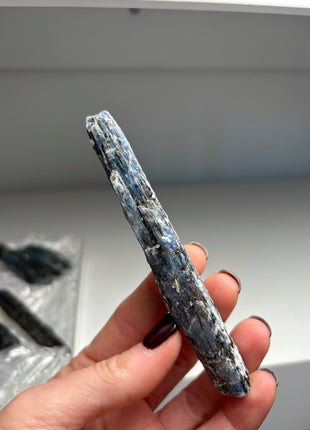 XL Size Blue Kyanite with Mica - From Zambia - 12 Pieces