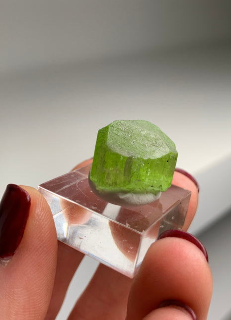 Green Diopside - Merelani Hills, Tanzania