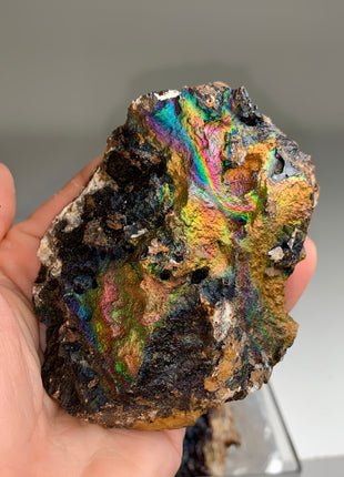 Very High Grade Rainbow Goethite Lot 🌈 From M. San Valentin, Spain 6 Pieces !