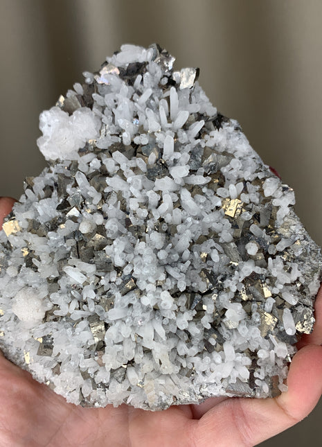 Quartz with Arsenopyrite - Trepca mine