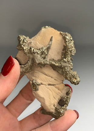 Unusual ! Pyrite on Rock Matrix Specimen