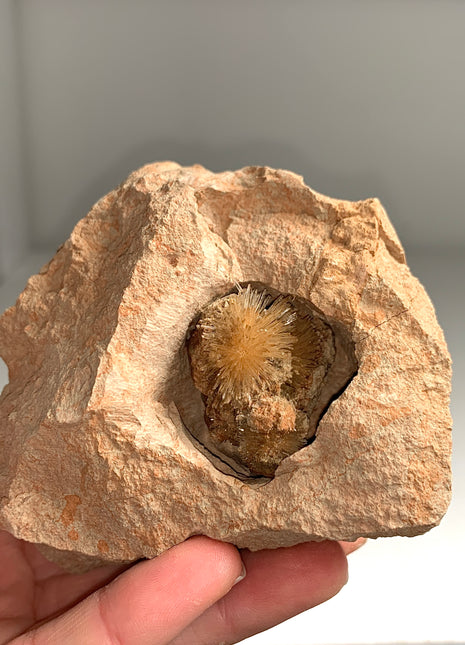 Bursting Sun Aragonite Ball in Cluster - From Pantoja, Spain