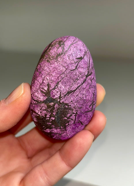 Velvet Purpurite