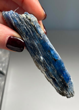 XL Size Blue Kyanite with Mica - From Zambia - 12 Pieces