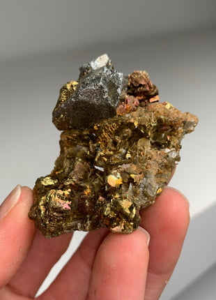 Chalcopyrite with Siderite 🌈 - Kaiwu mine