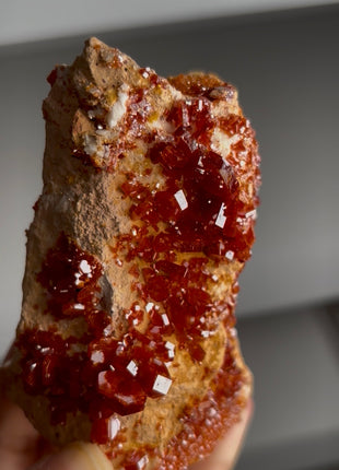 Red Vanadinite Specimen PM1070
