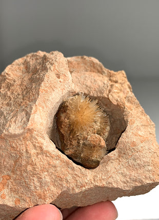 Bursting Sun Aragonite Ball in Cluster - From Pantoja, Spain