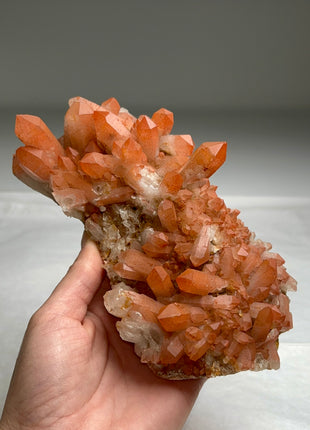 New arrival ! Red Passion Quartz