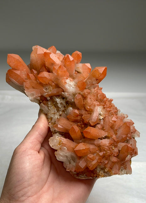 New arrival ! Red Passion Quartz