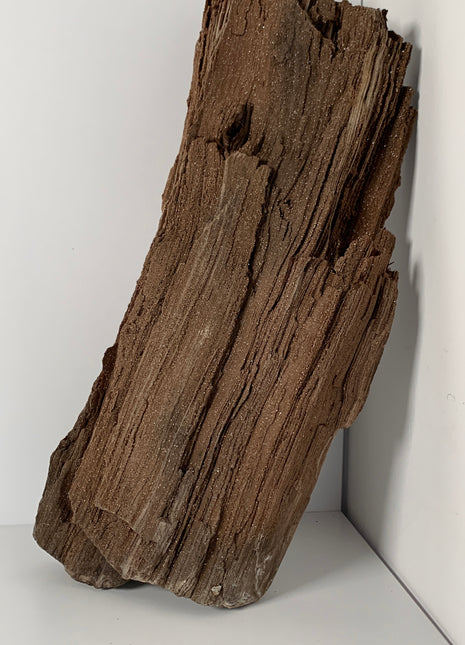 Our Finest ! Permineralized Fossil Wood with Quartz From Germany - 8+ kgs ! *