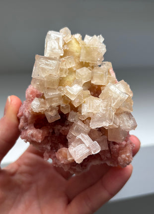 New find ! Green and Pink Halite - from Owens Lake, California