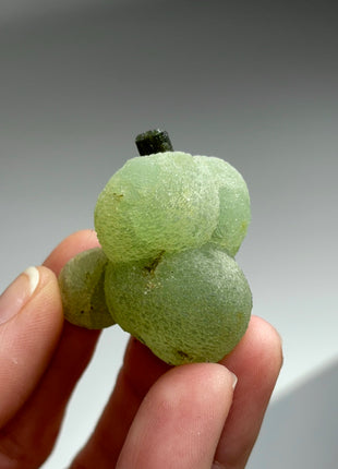 6 Pieces ! High Grade Apple Green Prehnite with Epidote Lot - From Mali