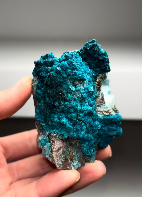 Rich Blue Chrysocolla