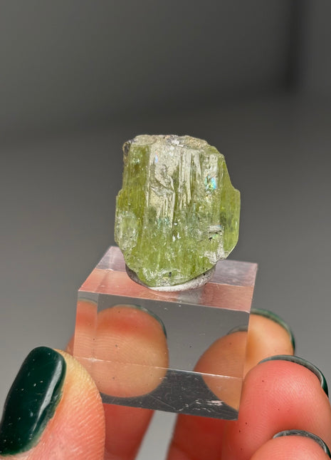 Green Diopside - Merelani Hills, Tanzania