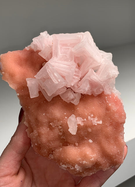 Pink Halite with Great Crystallization - from Searles Lake, California