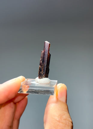 Red Rutile from Diamantina mine, 1990s find