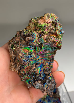 Very High Grade Rainbow Goethite Lot 🌈 From M. San Valentin, Spain 6 Pieces !