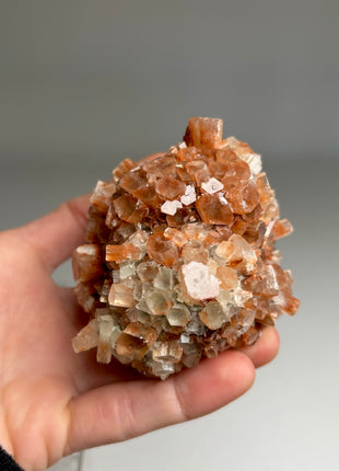 4 Piece Lot ! Aragonite Disco Ball Specimens