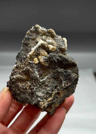 Silver from Zacatecas, Mexico Special Price 💥